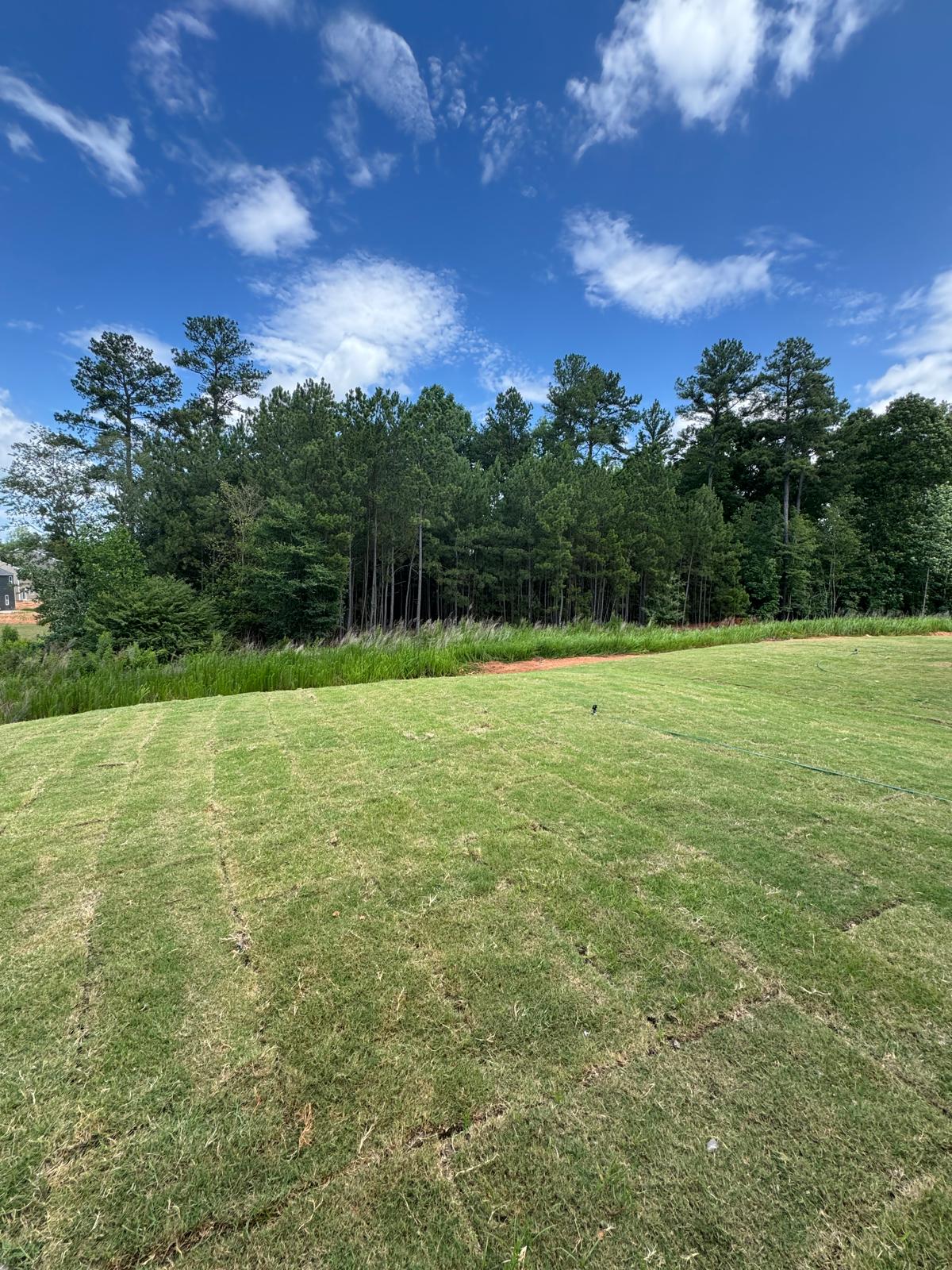 Land and new development in Carolina — Alvear Group